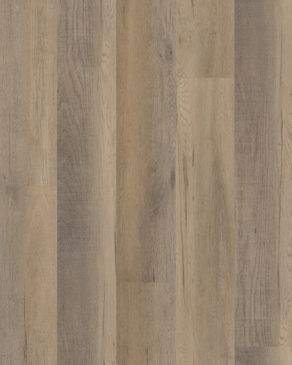 Budget Line Excellent Eiken XL 4086 Bega Oak