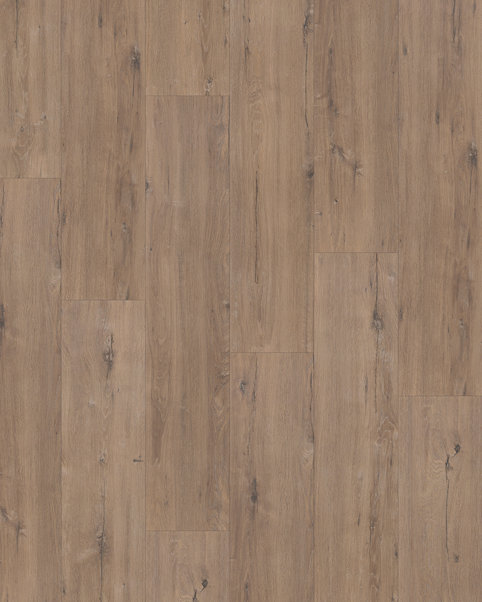 Hoomline Elite XL V4 60902 Schelde