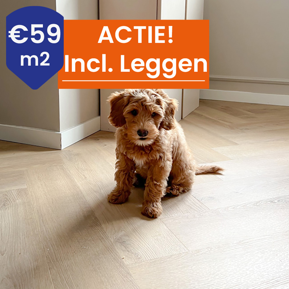 Belakos Palazzo Visgraat XL 72