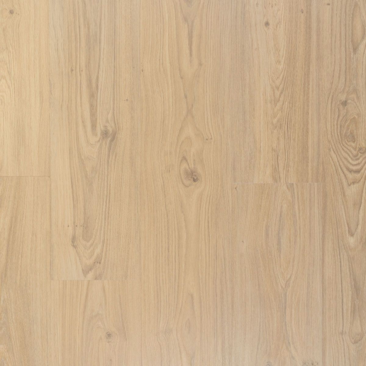 Douwes Dekker Ambitieus Riante Plank 07801 Créme Brûlée