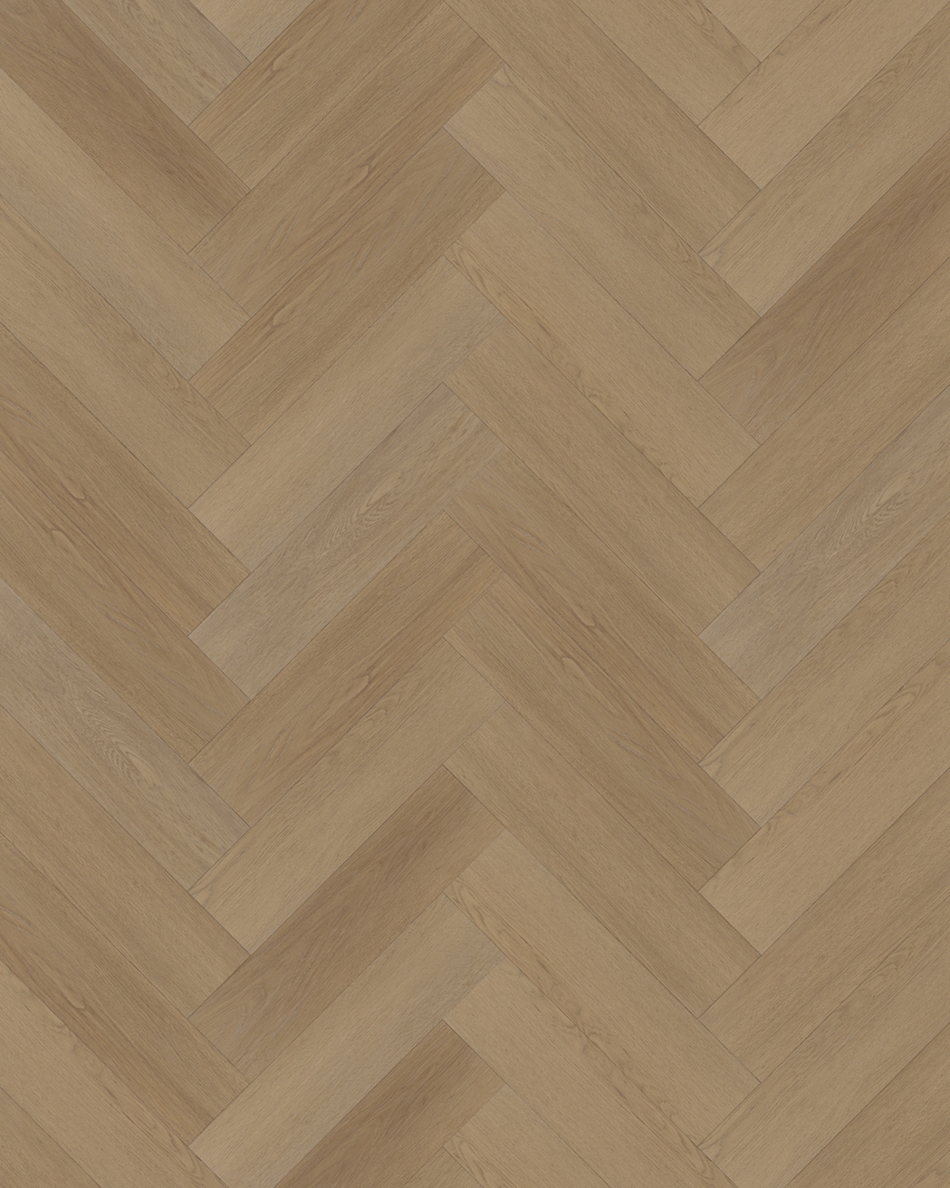 Budget Line Premium Visgraat XL 4078H Astana Oak 