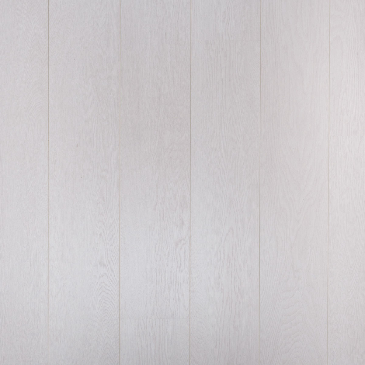 Douwes Dekker Opgewekt Plank 05016 Bieslook