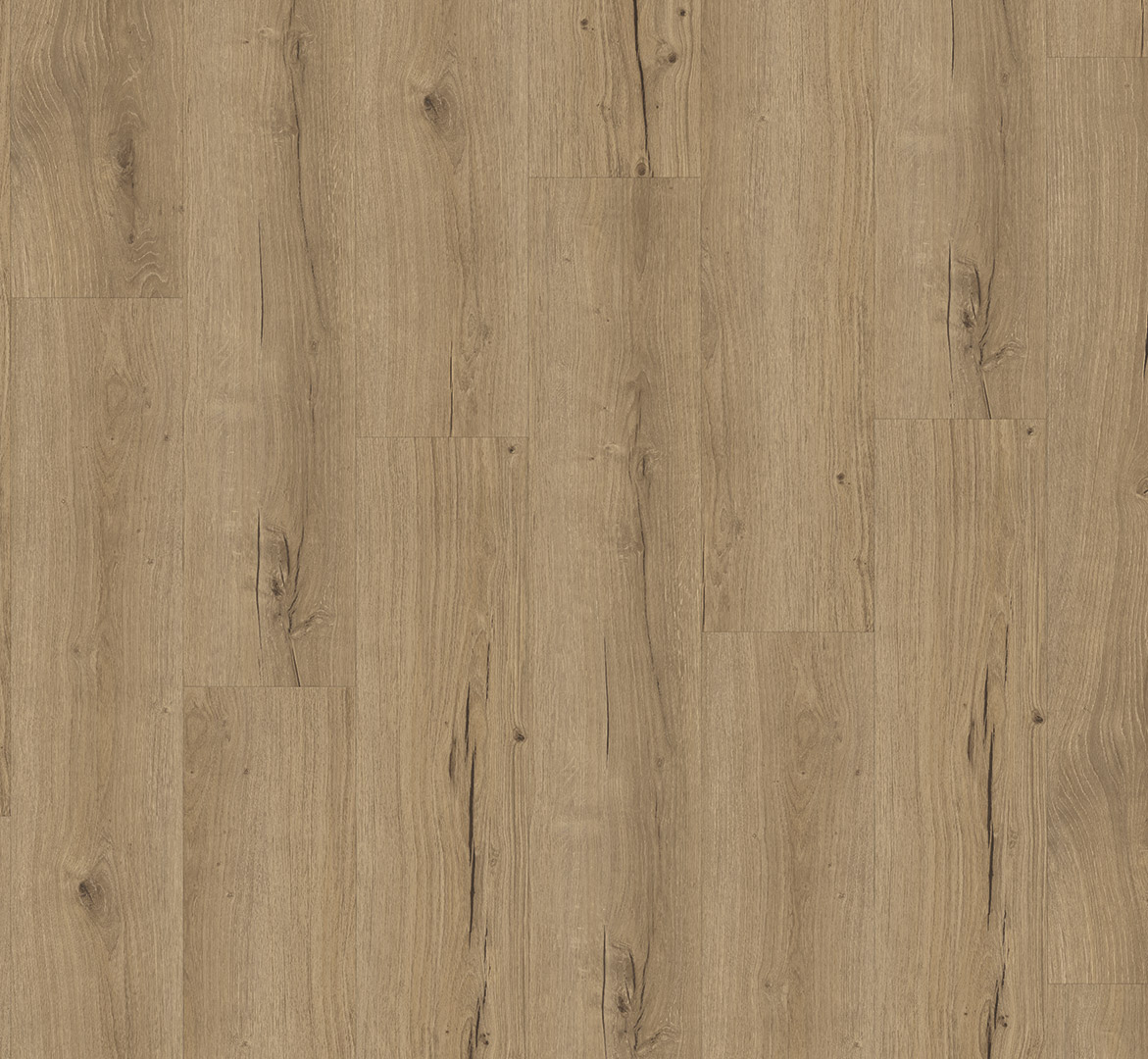 Parador Classic 2025 Eiken Cambridge natuur 