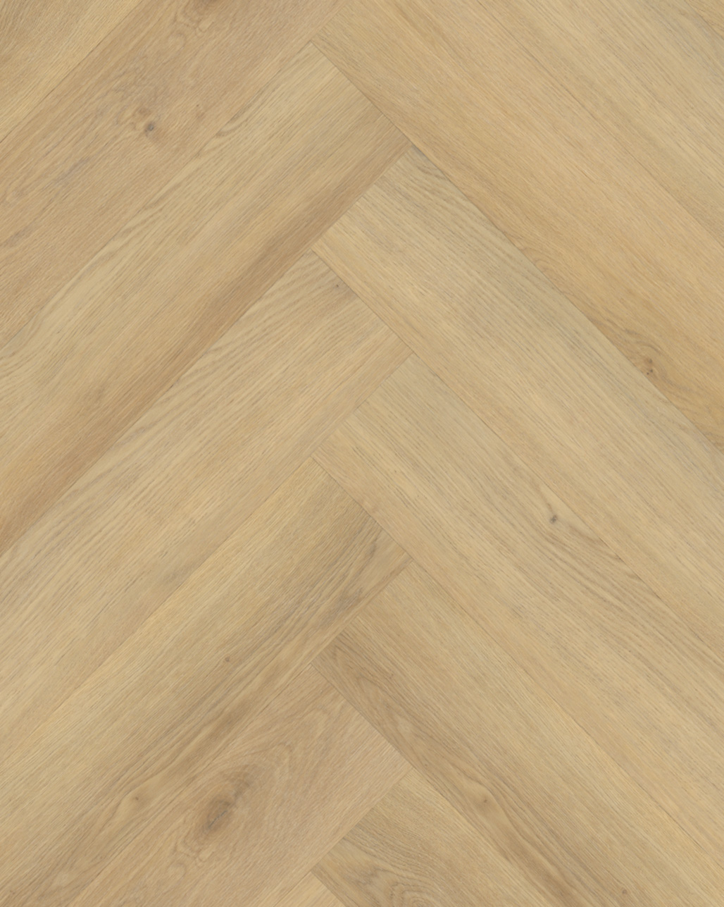 Budget Line Premium Visgraat XL 4150H Tricca Oak