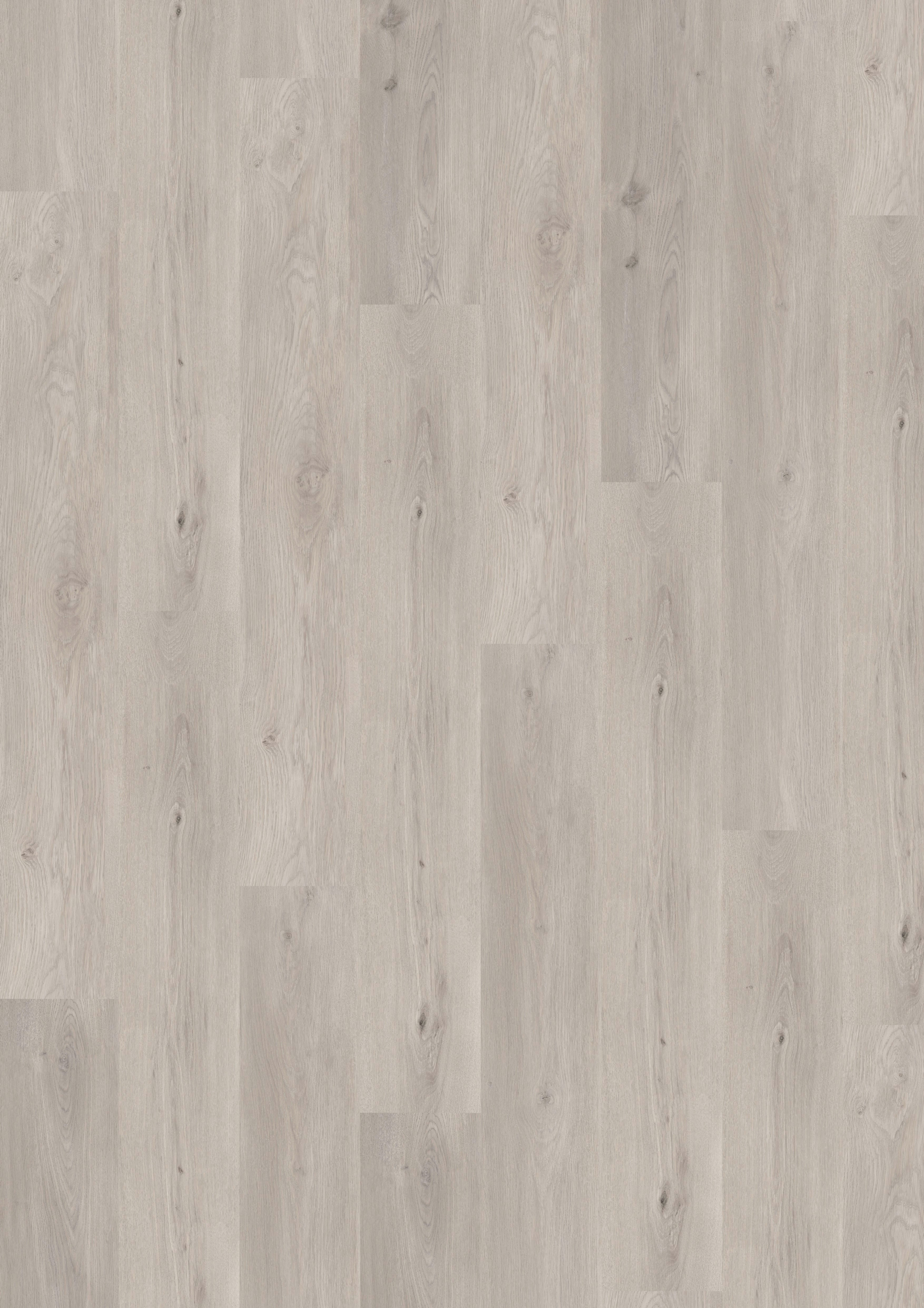 Budget Line Comfort Taree Oak 4310