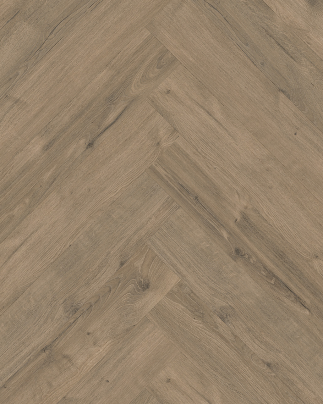 Classen Manor Vouvray Visgraat Laminaat 62663