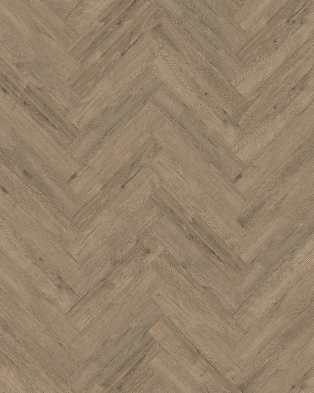 Classen Manor Vouvray Visgraat Laminaat 62663