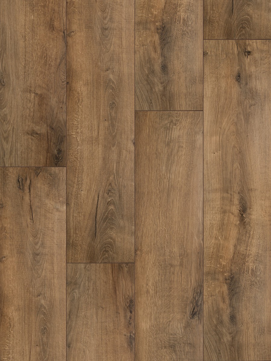Classen Merida Oak XL 55816