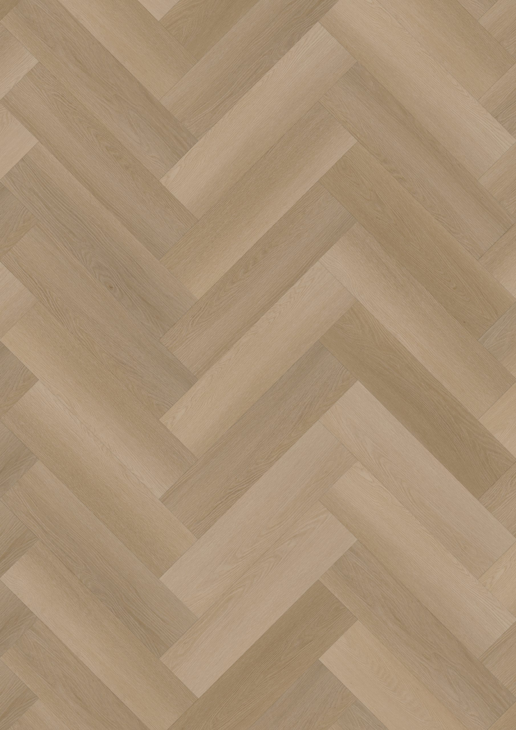 Hoomline Ambassador Visgraat 55 Ontario 120