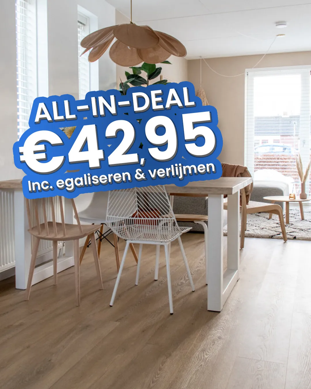 Classen Black Oak 52357