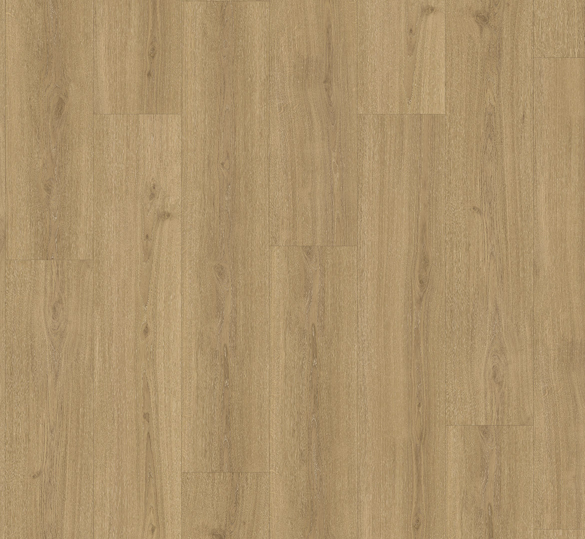 Parador Classic 2025 Eiken Regent natuur 