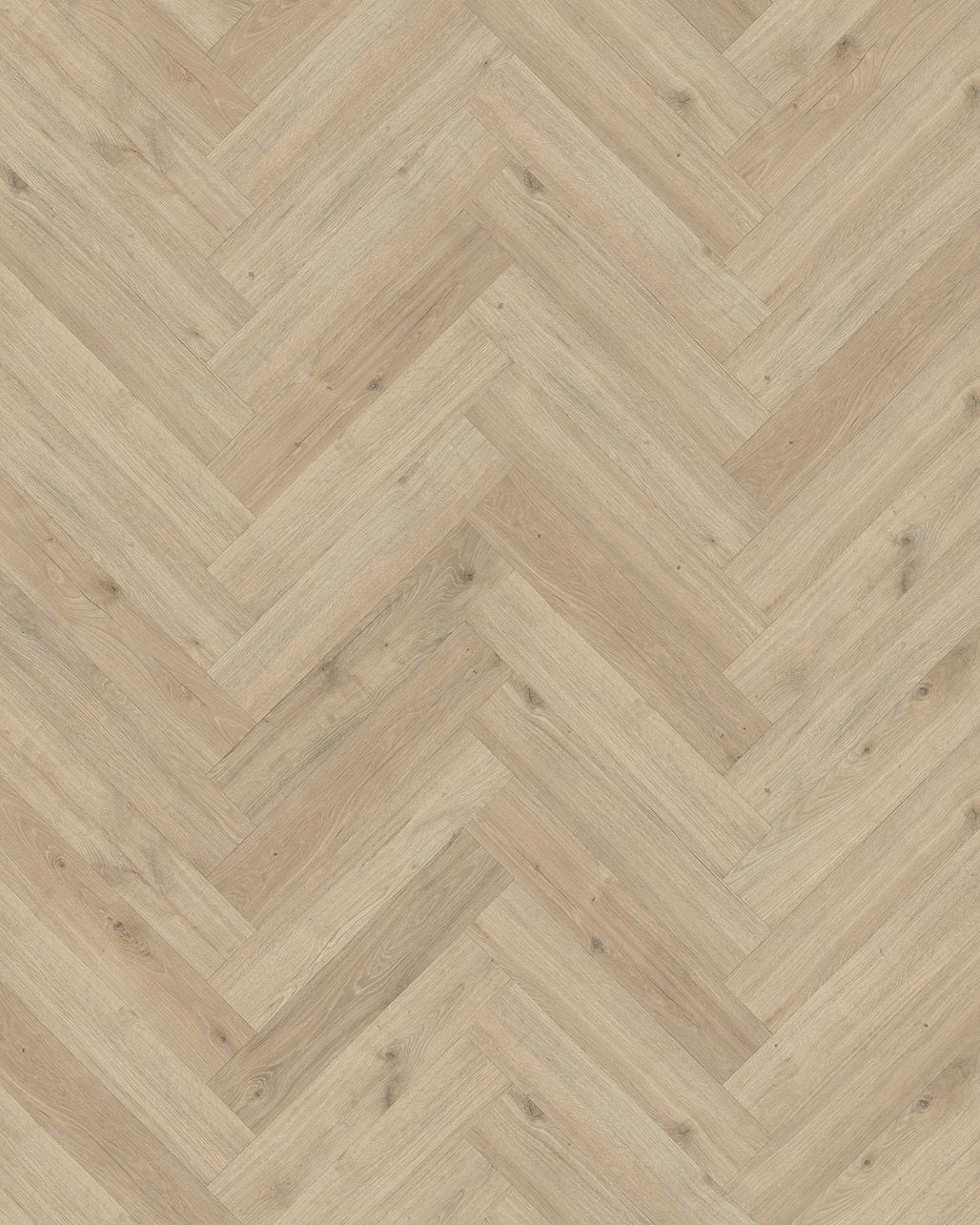 Classen Manor Blois Visgraat Laminaat 62704