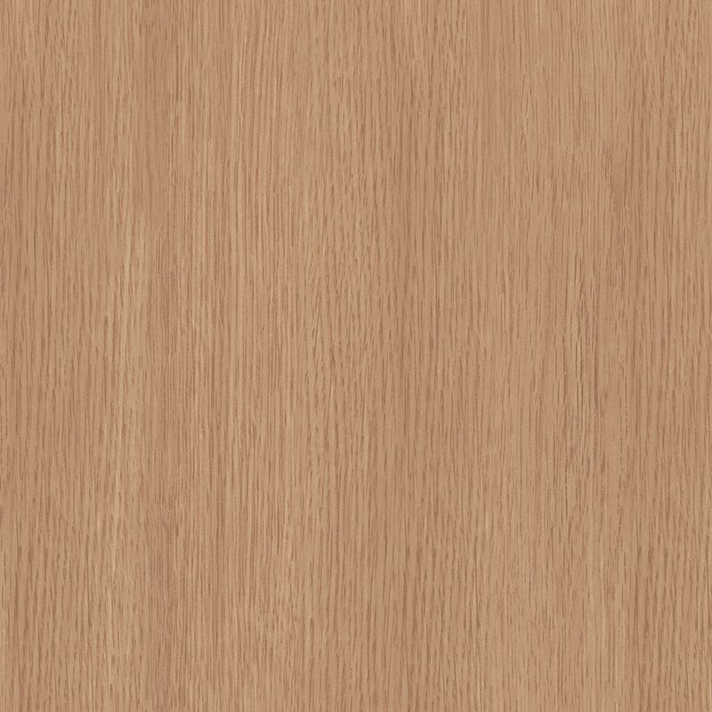 Rozet 17mm Licht Geborsteld Eiken (10 st.) 24104