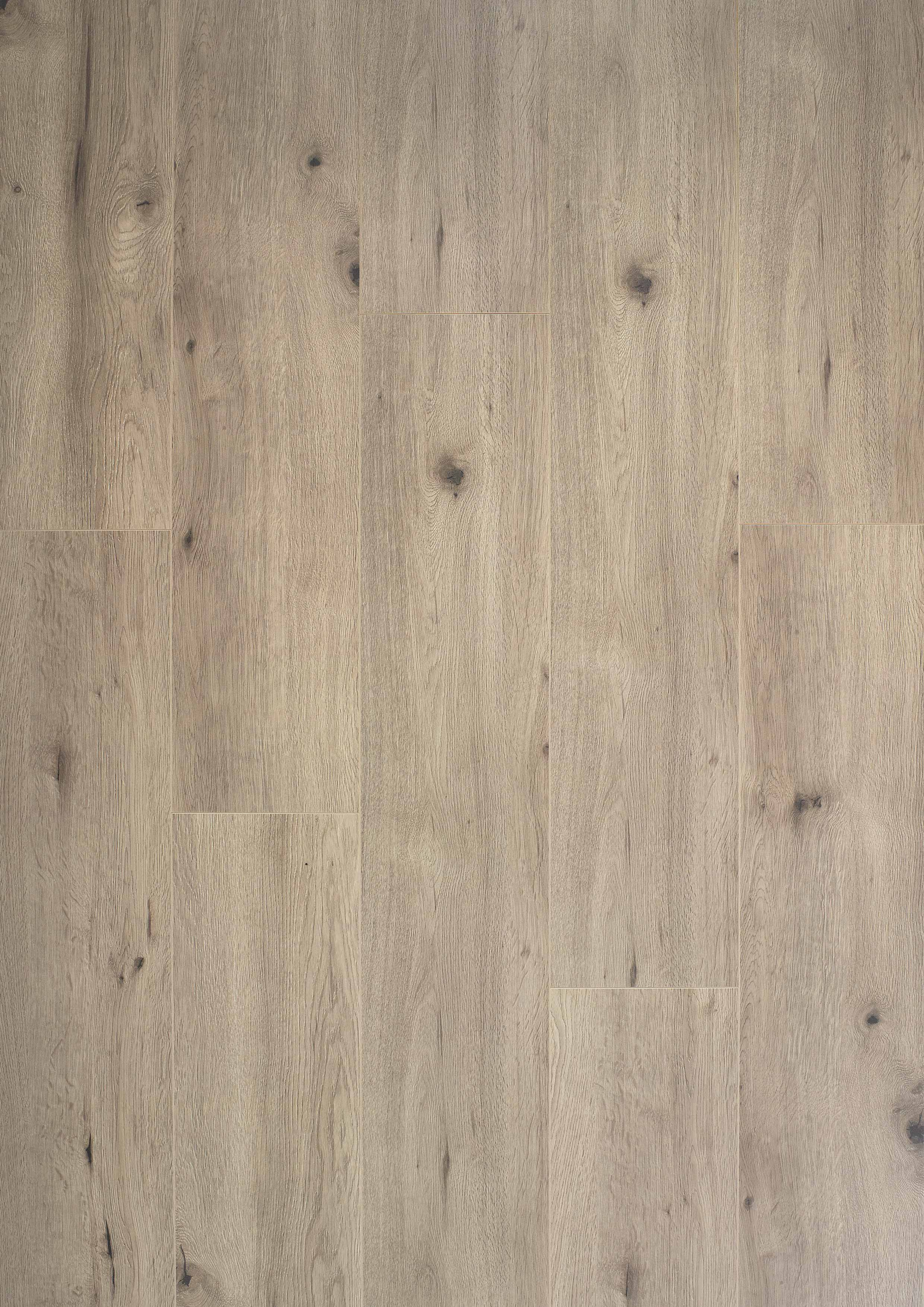 Budget Line Laminaat XXL 4662 Warm Grijs Eiken 