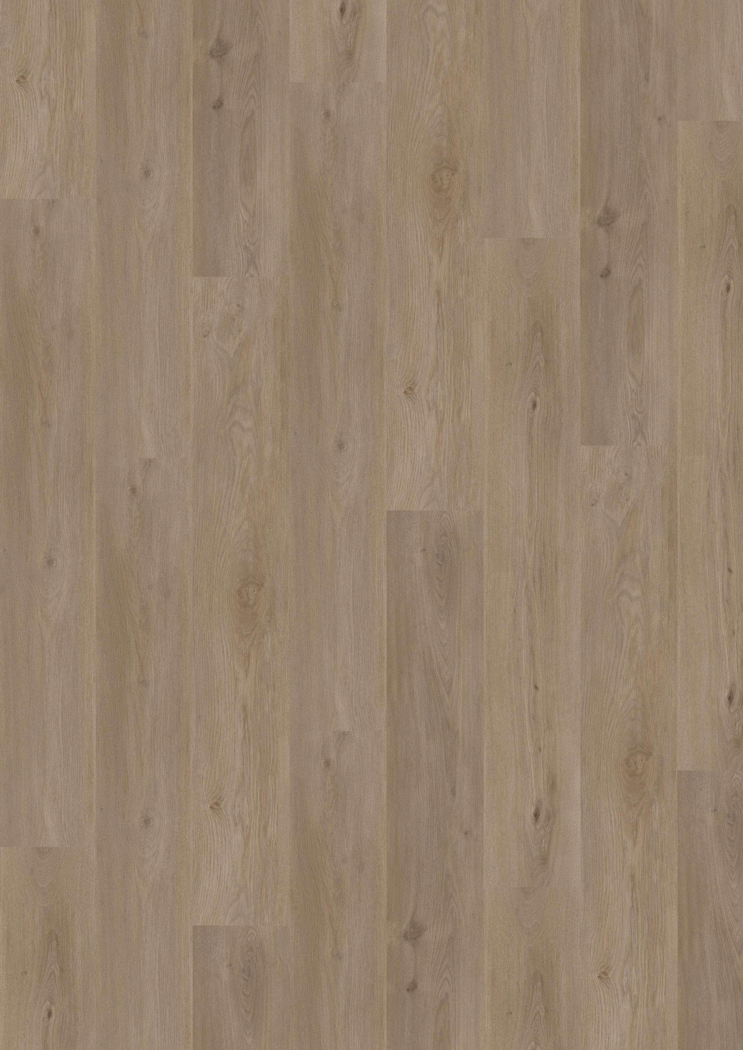 Budget Line Comfort Griffith Oak 4308