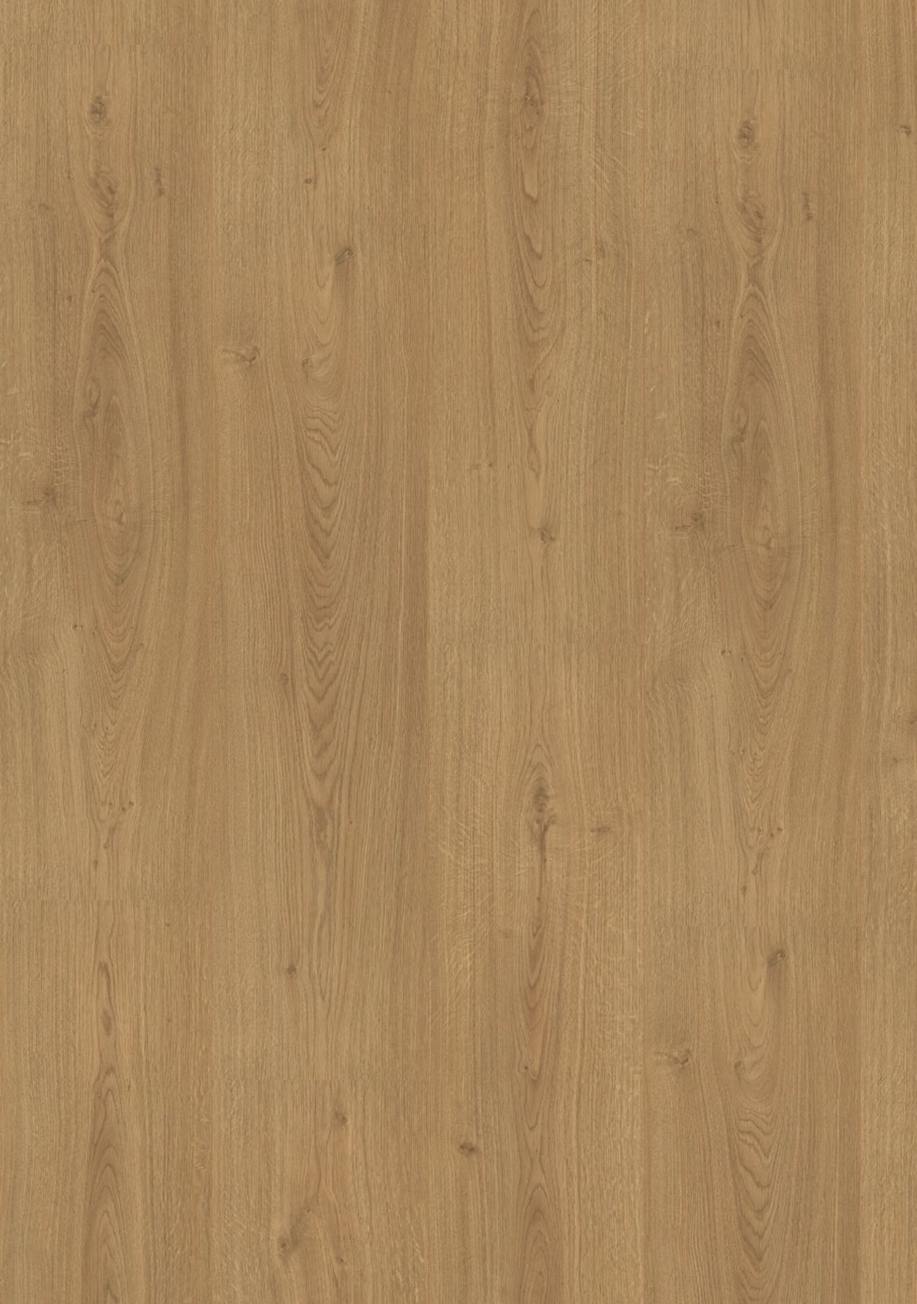 Classen Wildford Oak 65538