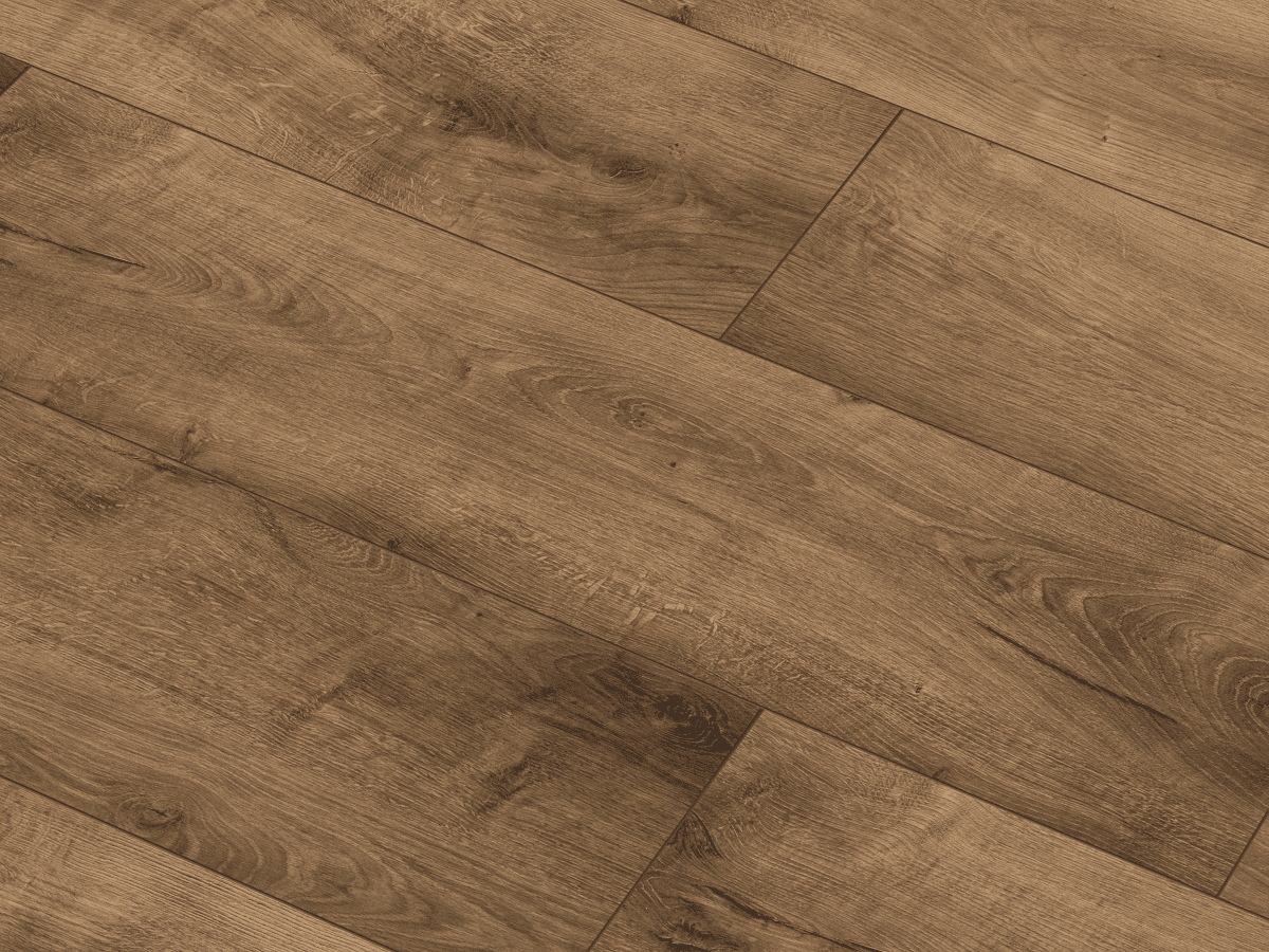 Classen Merida Oak XL 55816