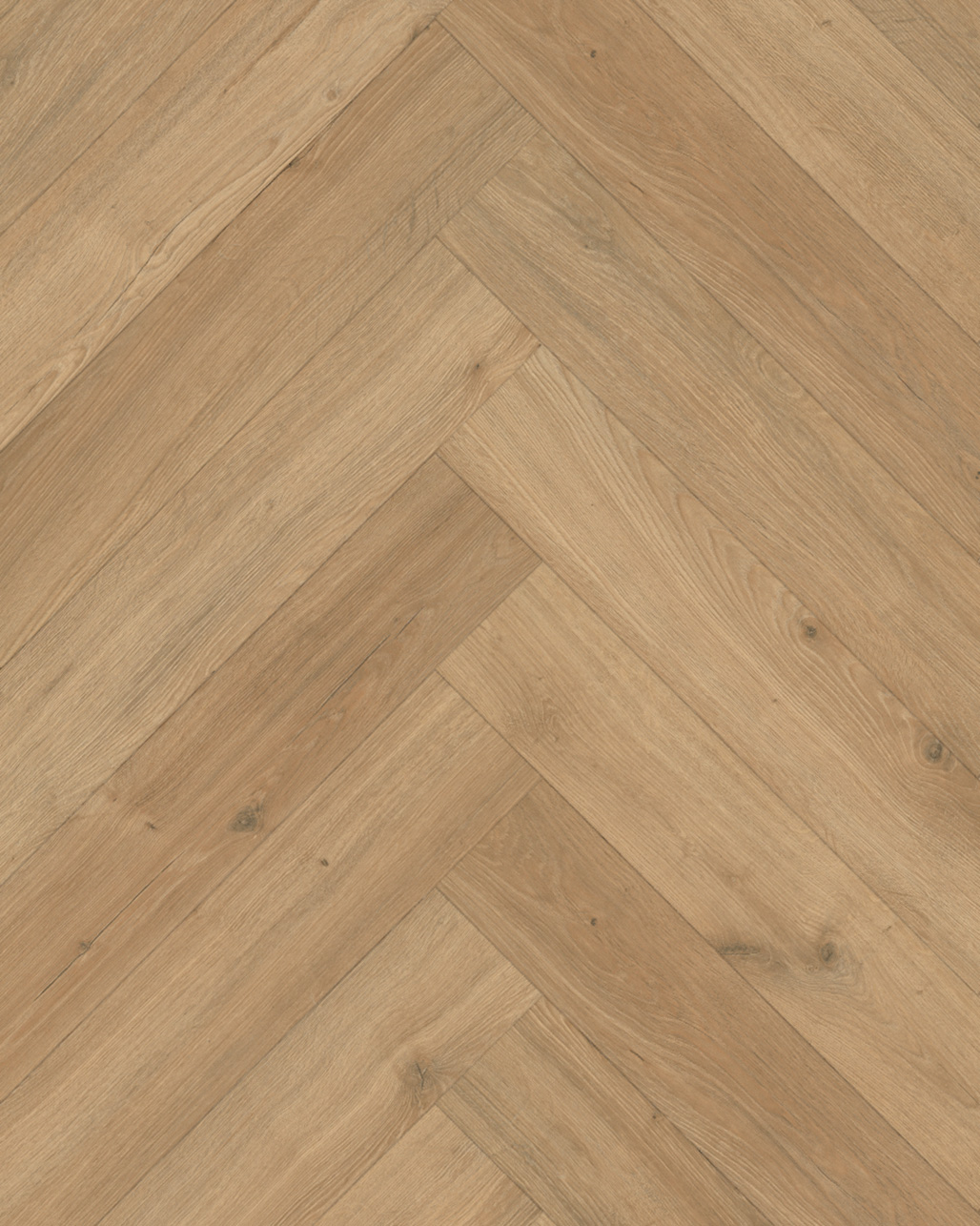 Classen Manor Amboise Visgraat Laminaat 62707