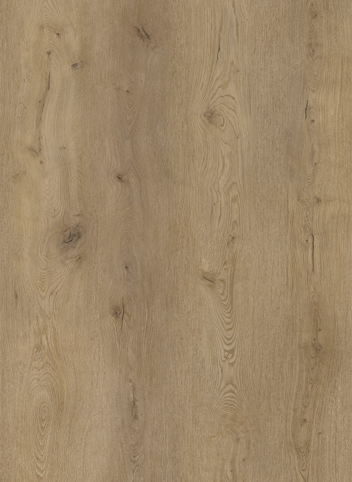 COREtec XL-End Montclair 2557