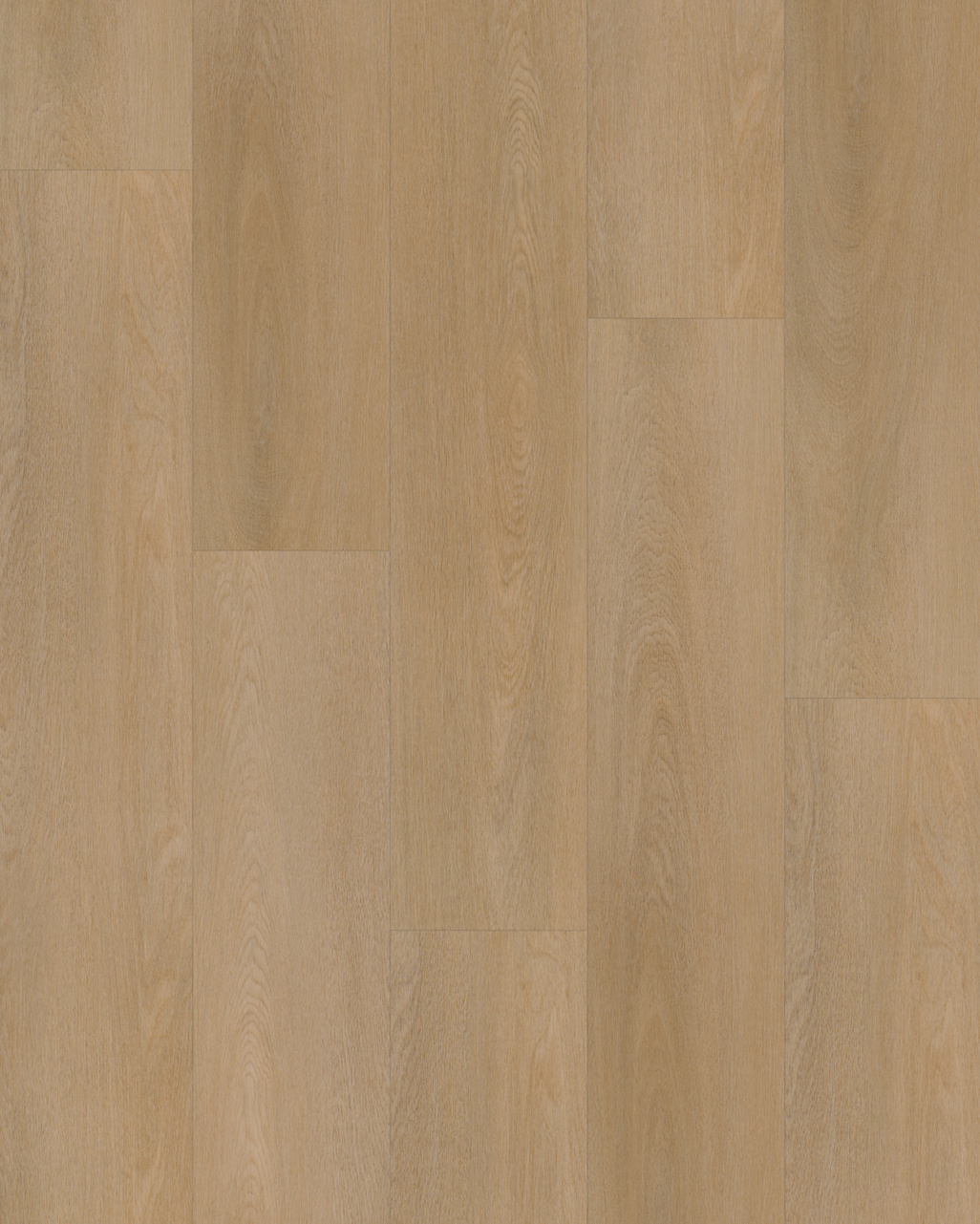 Budget Line Superior Eiken XL 4079 Brussel Oak 
